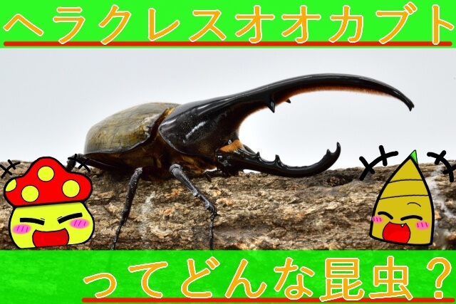 Thumbnail of post image 197